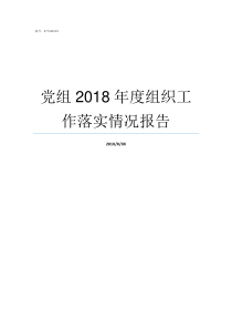 党组2018年度组织工作落实情况报告人大党组2018年工作报告