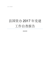 县国资办2017年党建工作自查报告