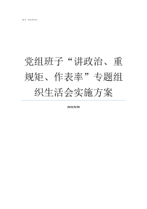 党组班子讲政治重规矩作表率专题组织生活会实施方案党组大还是党委大