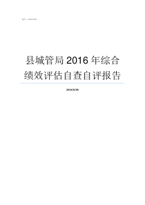 县城管局2016年综合绩效评估自查自评报告