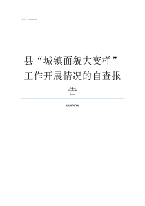 县城镇面貌大变样工作开展情况的自查报告镇与县