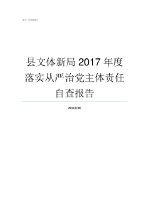 县文体新局2017年度落实从严治党主体责任自查报告2019呼铁局副局长