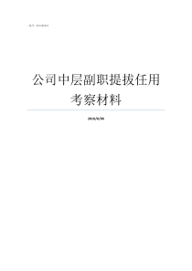 公司中层副职提拔任用考察材料