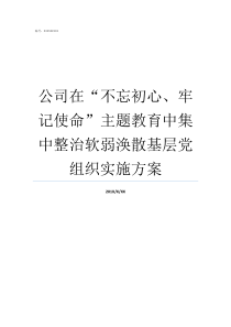 公司在不忘初心牢记使命主题教育中集中整治软弱涣散基层党组织实施方案不忘初心牢记使命重要论述