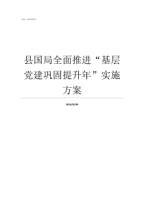 县国局全面推进基层党建巩固提升年实施方案全面推进大国外交形成