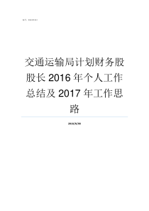 交通运输局计划财务股股长2016年个人工作总结及2017年工作思路财务计划模板