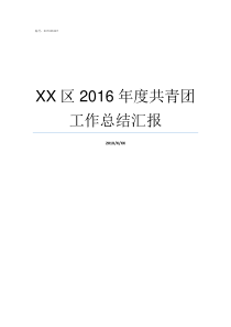 XX区2016年度共青团工作总结汇报XX