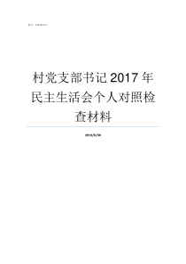 村党支部书记2017年民主生活会个人对照检查材料村党支部书记