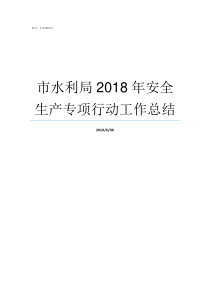市水利局2018年安全生产专项行动工作总结水利局2019招聘