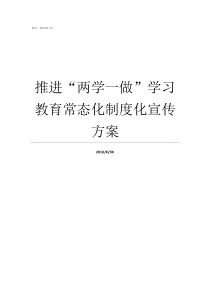 推进两学一做学习教育常态化制度化宣传方案