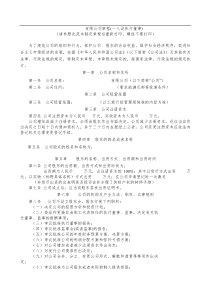 一人公司章程(设执行董事)