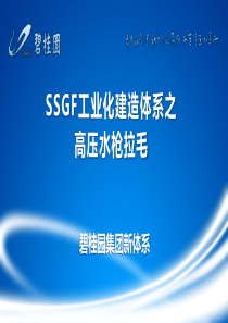 高压水枪拉毛