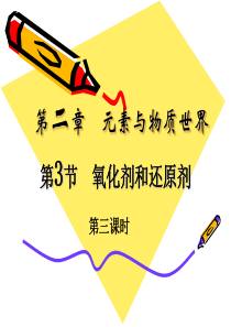 中班科学蒜头发芽了