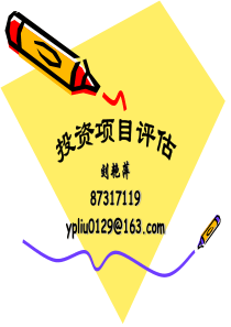投资项目评估(完整版)