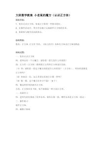 大班数学教案小老鼠的魔方认识正方体