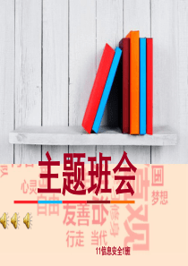 社会主义核心价值观主题班会ppt