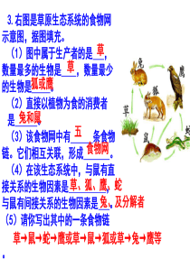 初中生物中考识图
