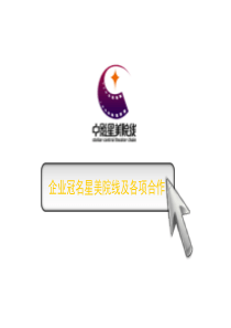 星美国际影城的价值-XXXX0815_V12(NXPowerLite)(1)