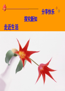 小鸡过生日