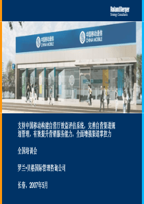 罗兰贝格-自有渠道价值评估培训材