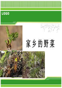 家乡的野菜