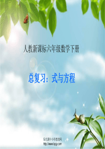 新课标人教版六年级数学下册《总复习-式与方程PPT课件》 2