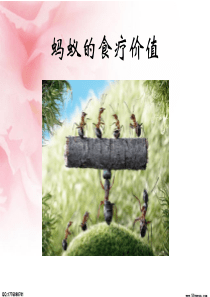 蚂蚁的食疗价值