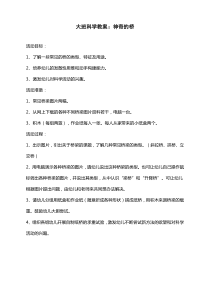 神奇的桥