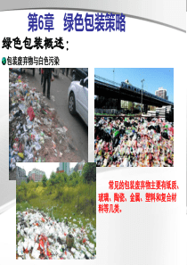 第六章绿色包装策略