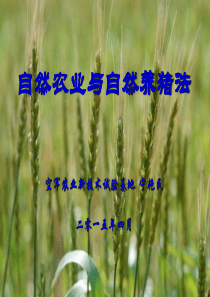 自然养猪法(培训)