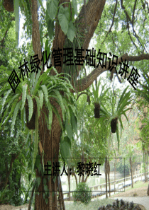 园林绿化管理基础知识讲座