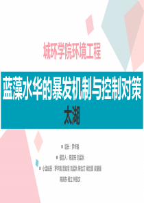 蓝藻水华的暴发机制与控制对策