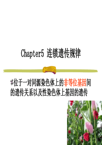 Chapter5连锁遗传规律