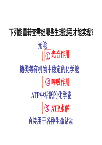 2012《分子与细胞》一轮复习―12光合作用