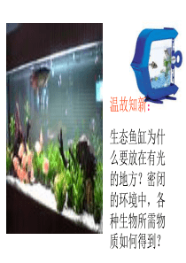 高中生物 5.3《生态系统的物质循环》课件(1) 新人教版必修3