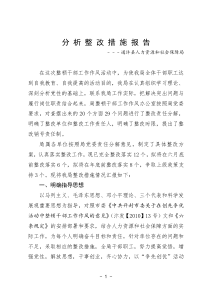 分-析-整-改-措-施-报-告