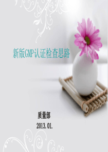 新版_GMP认证检查思路