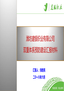 新版――2010两个体系建设汇报材料