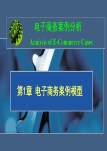 电子商务案例分析模型