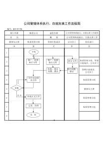 (BT-JT)公司管理体系执行、自我完善工作流程