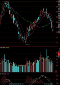 第二章 股票0股票投资