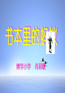 书本里的蚂蚁教学课件