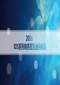 2016年商务-年终总结