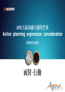 APEC人际风格与领导艺术(好课件)