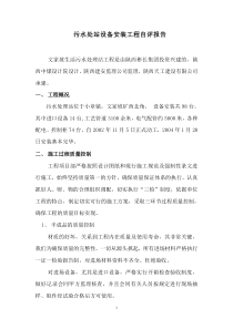 污水处理站安自评报告