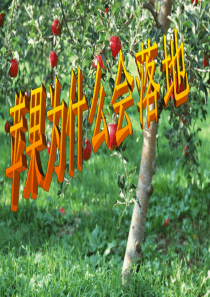 苏教版四年级科学下册 苹果为什么会落地 课件