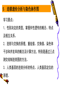第五章连锁遗传分析-PowerPointPresent