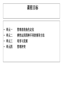 卓越领导力艺术