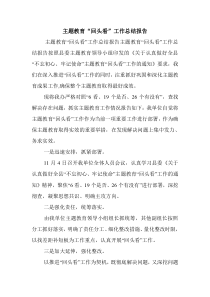 主题教育“回头看”工作总结报告.doc