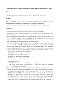 Efficacy-study-protocol-in-human-primary-tumor-mod